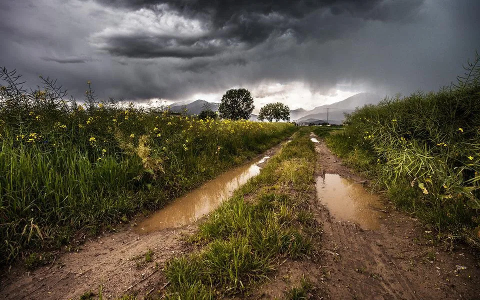 Přeháňky, bouřky i teploty nad tropickou třicítku. Jaké bude počasí o víkendu?