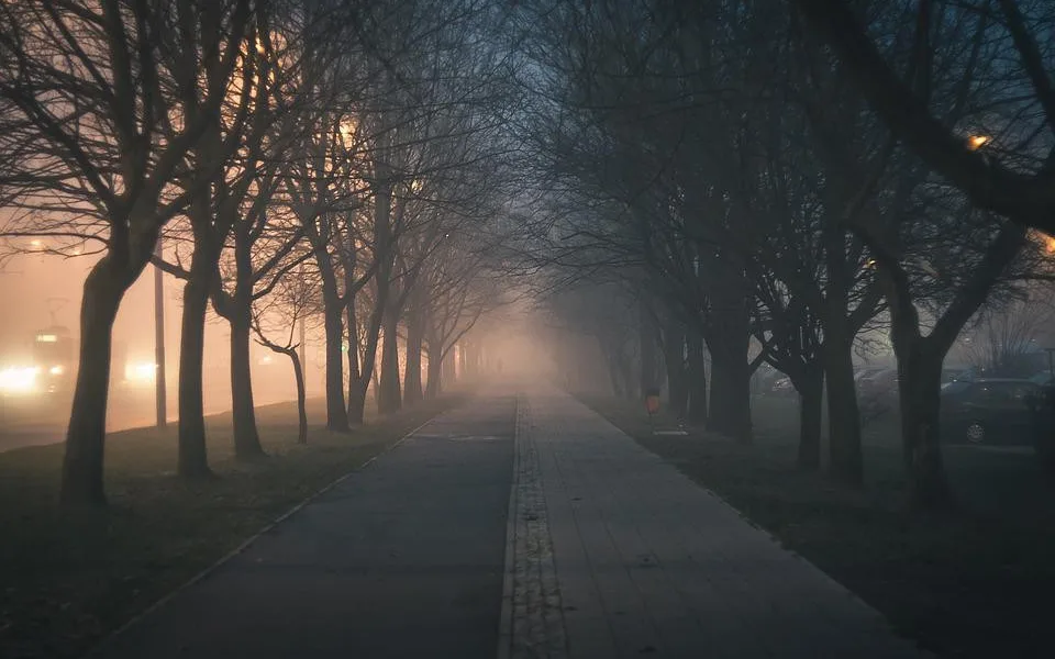 Ilustrační foto