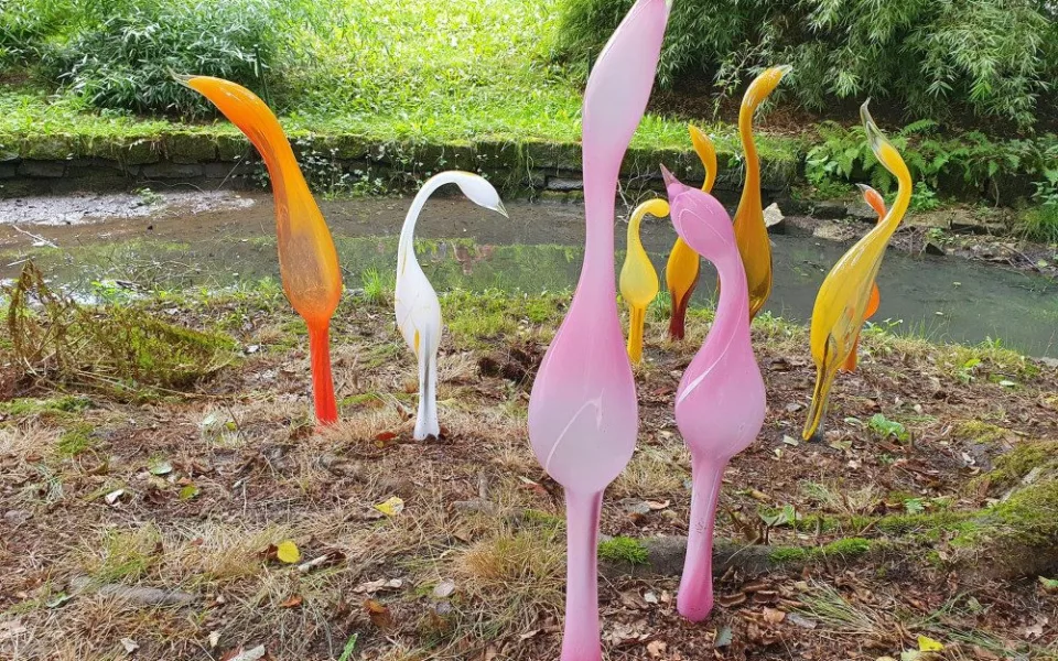 Sklenění plameňáci v liberecké zoo