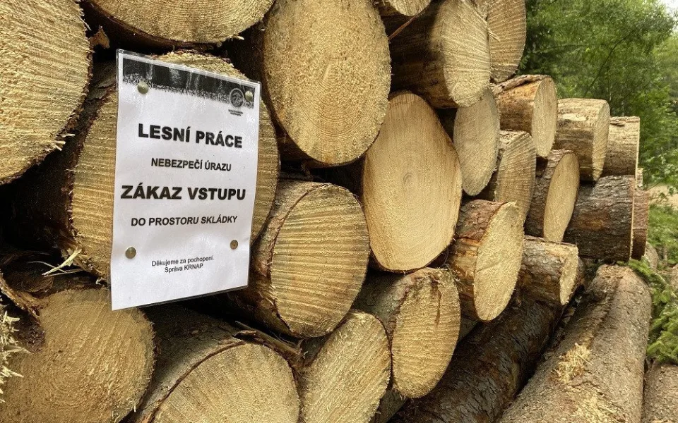 Skládky dřeva nejsou dětské prolézačky, varují lesníci v Krkonoších