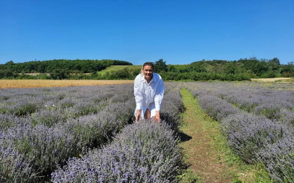 České Provence. Blahodárné účinky levandulí poznávají tisíce návštěvníků areálu kousek za Prahou
