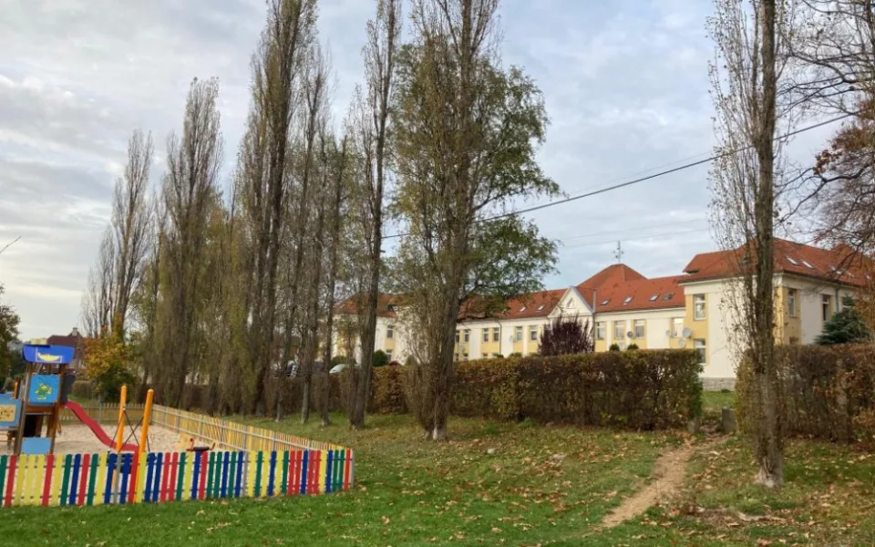 Ve Frýdlantu budou o víkendu kácet nebezpečné topoly u Rákosníčkova hřiště. Přilehlé parkoviště se uzavře