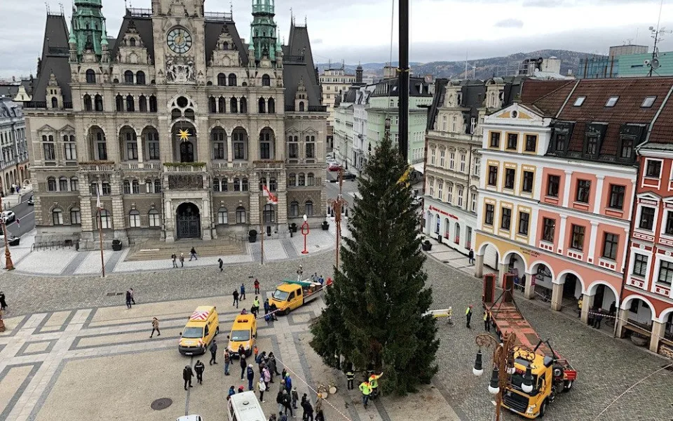 Liberec už má vánoční strom. Na náměstí dorazil z Husitské ulice