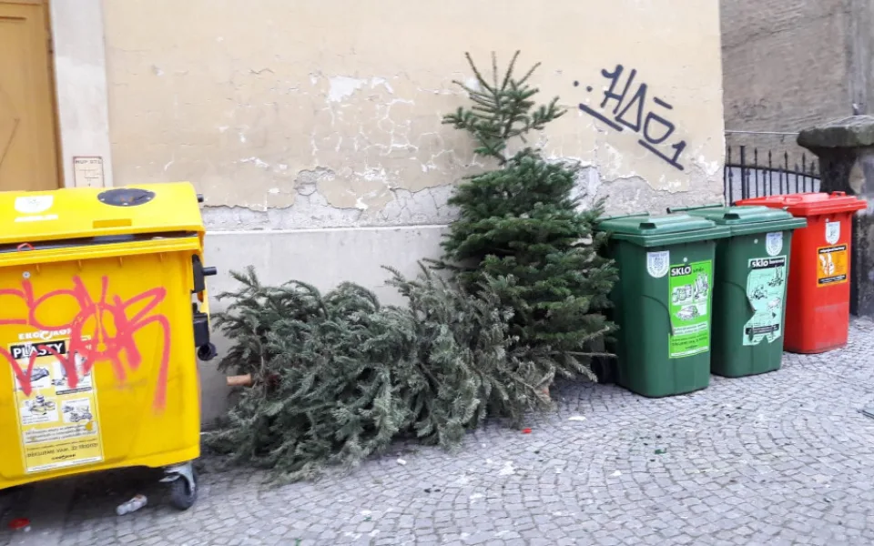 Co s vánočním stromečkem? V pondělí začíná jejich svoz