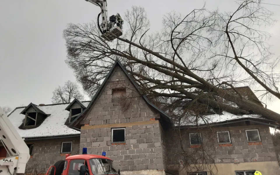 Následky vichřice jsou velké, strom fatálně zranil koně v liberecké zoo. Silný vítr ustává