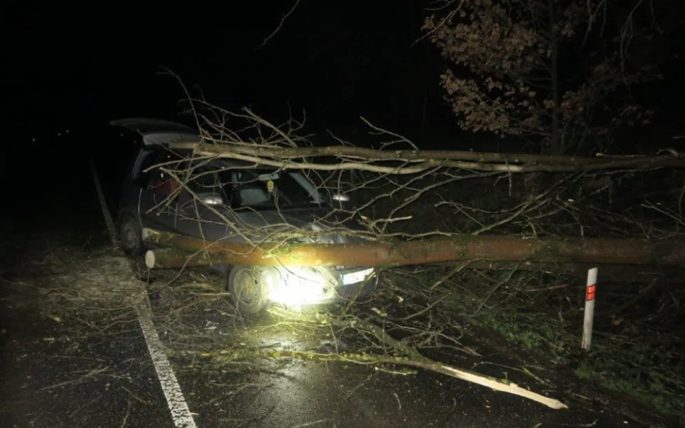 Na auto spad strom