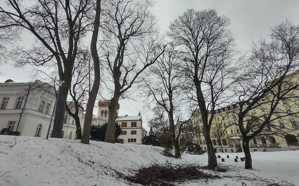 Ošetřovací práce v parku Clam-Gallasů.