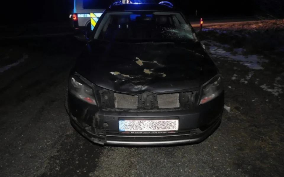 Auto po útoku jelena.