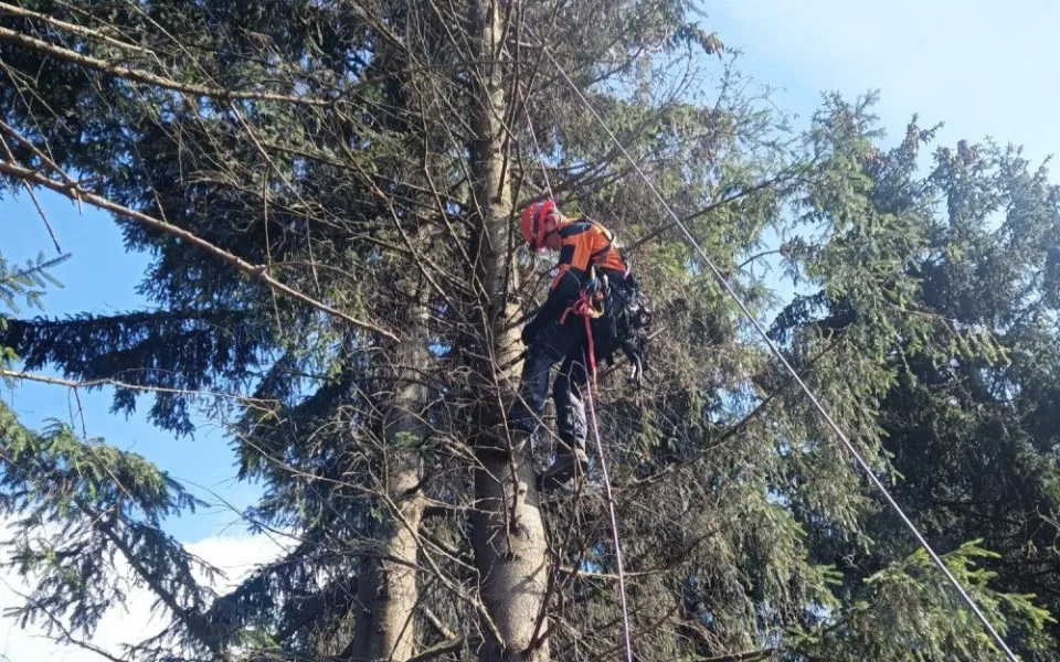 Hasič lezec při zdolávání stromu při záchraně paraglidisty. 