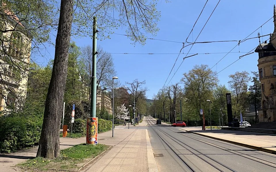 Liberec se přes deset let snaží stabilizovat alej na Masarykově třídě. Nakonec se celkové obnově nevyhneme, zní z města