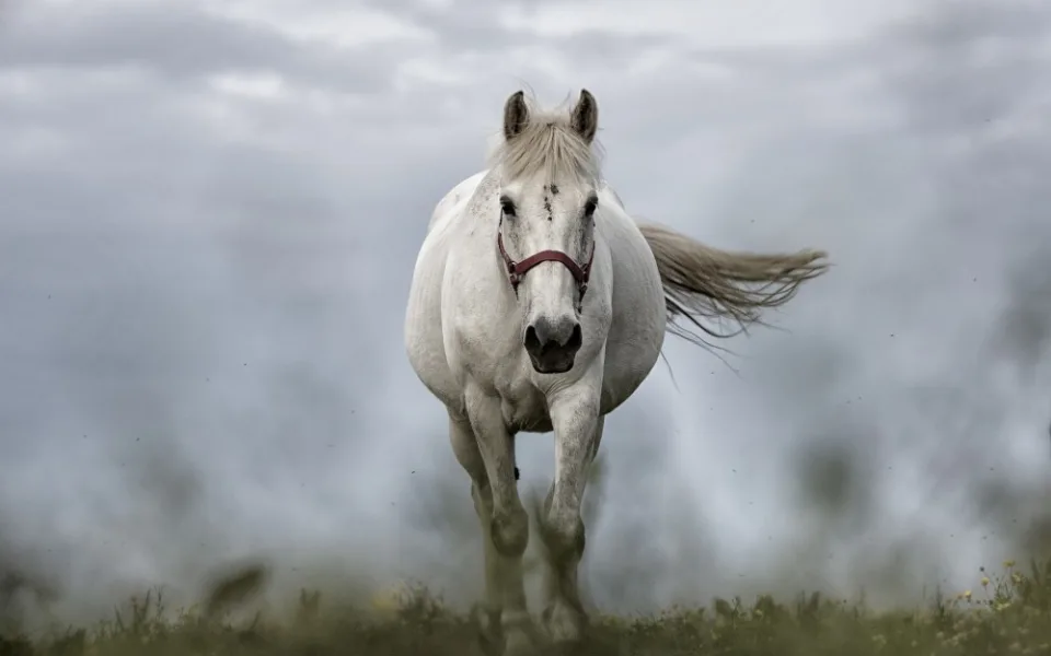 Ilustrační foto.