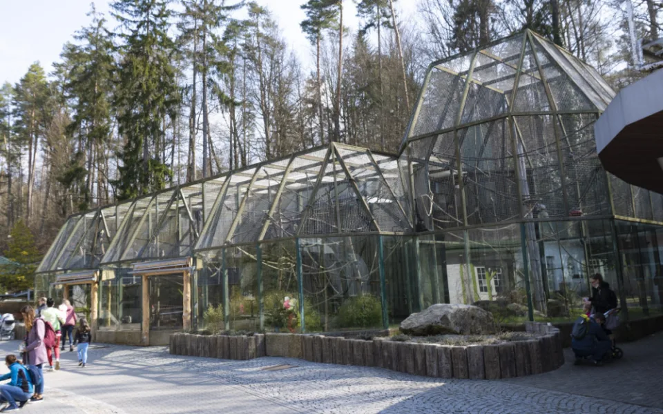 V liberecké zoo je návštěvníkům po téměř osmi měsících přístupný pavilon opic