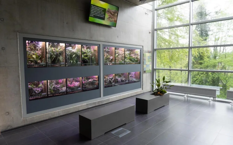 Zoo má novou expozici pro tropické žáby. Hostí čtrnáct druhů