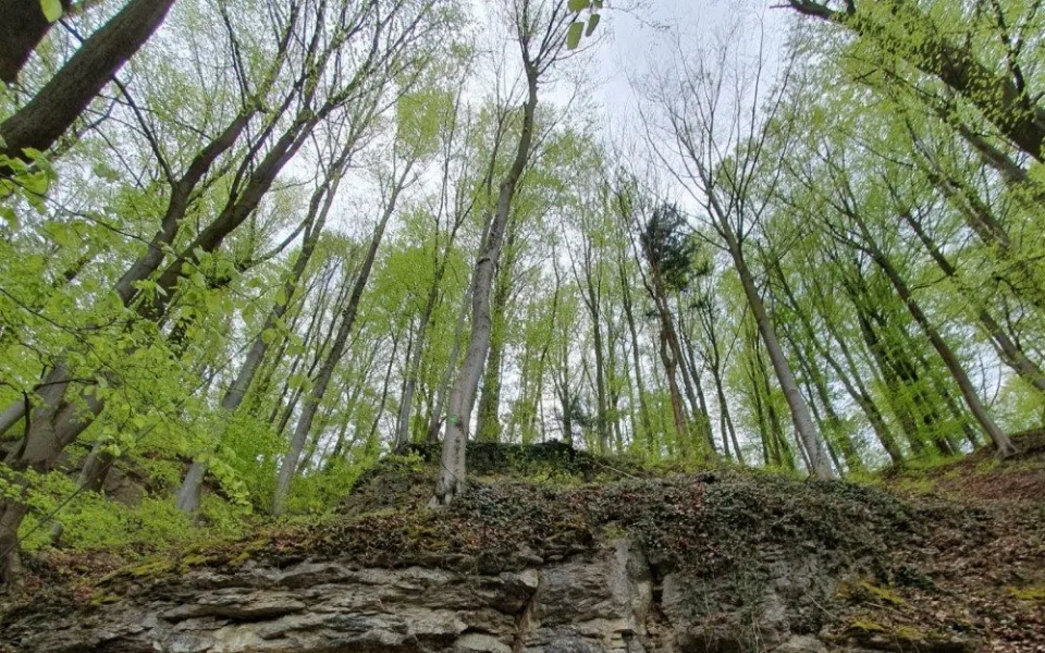 Skály nad stezkou.
