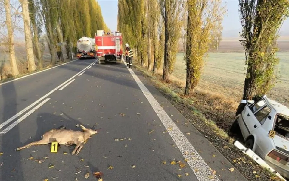 Ilustrační foto.