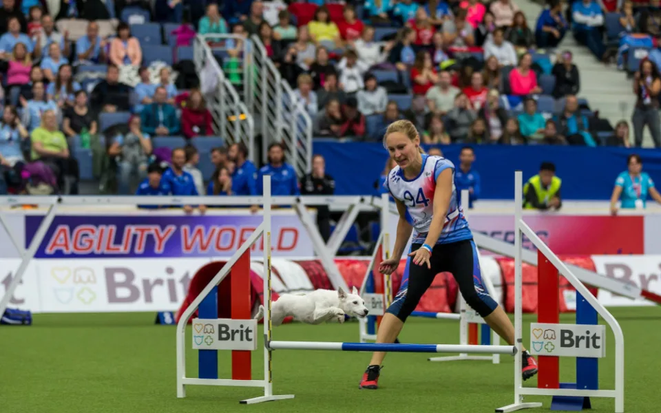 Mistrovství světa v agility 2023 se v Liberci uskuteční 4. - 8. října.