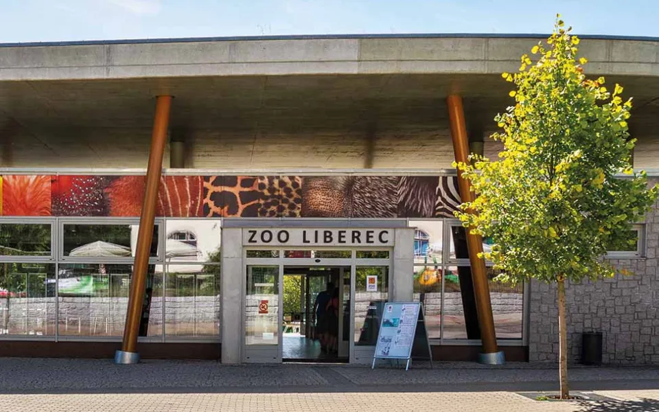 Nové přírůstky v liberecké zoo. Návštěvníci se mohou těšit na mláďata kopytníků