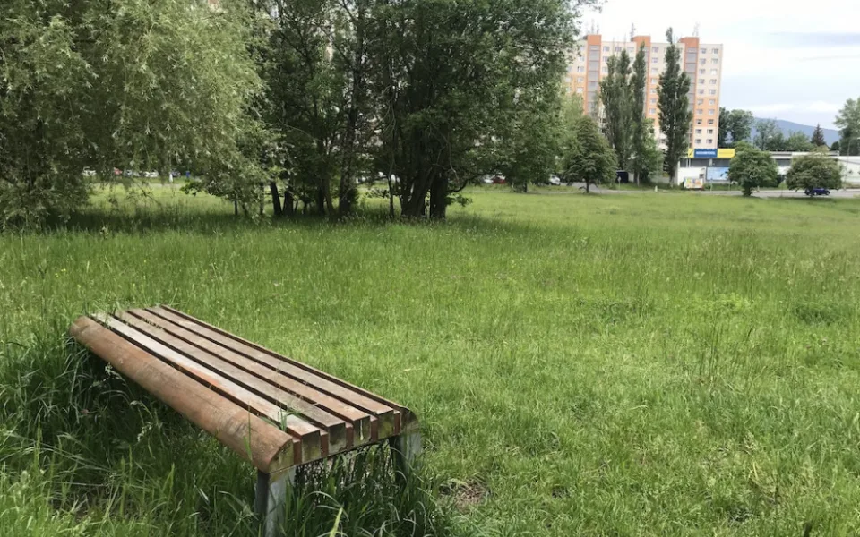 Liberec kvůli horku pozastavil od začátku léta celoplošné sečení trávníků