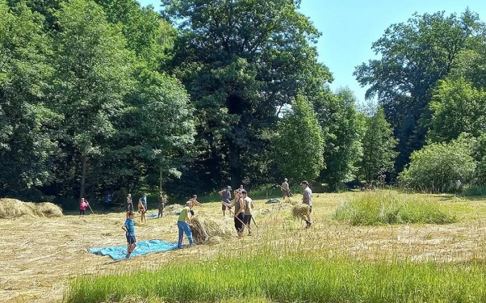 Dobrovolníci na lukách.
