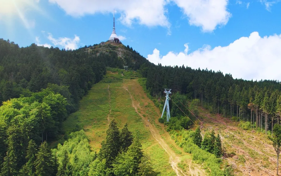 Výsadba stromů na Ještědu pokračuje, letos zalesní část sjezdovek Pod lany