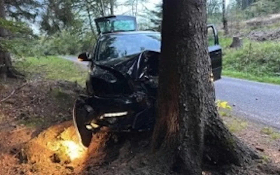 Lekla se přebíhající srnky, auto sešrotovala o strom
