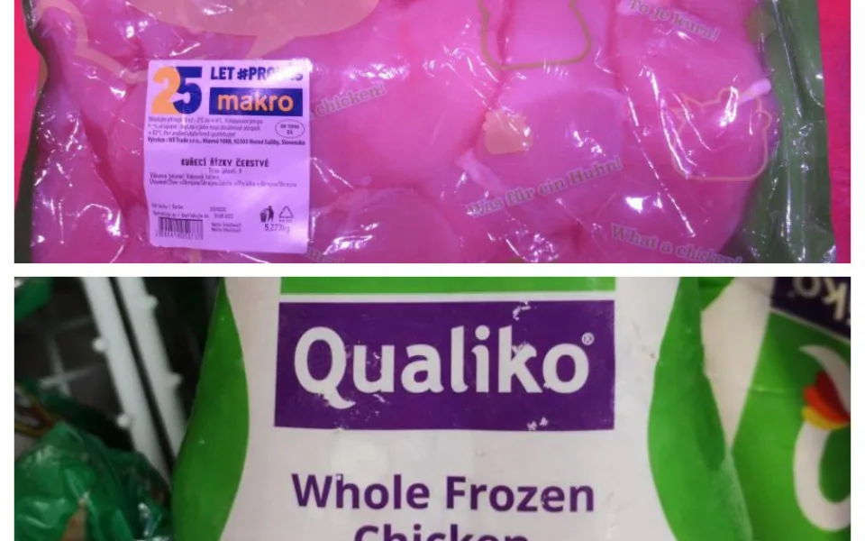 Další kuřecí maso ze zahraničí obsahovalo salmonelu. Nebezpečné může být, i pokud ho mají lidé v mrazáku