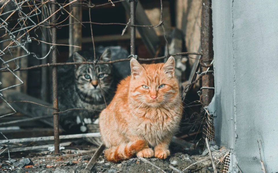 Ilustrační foto.