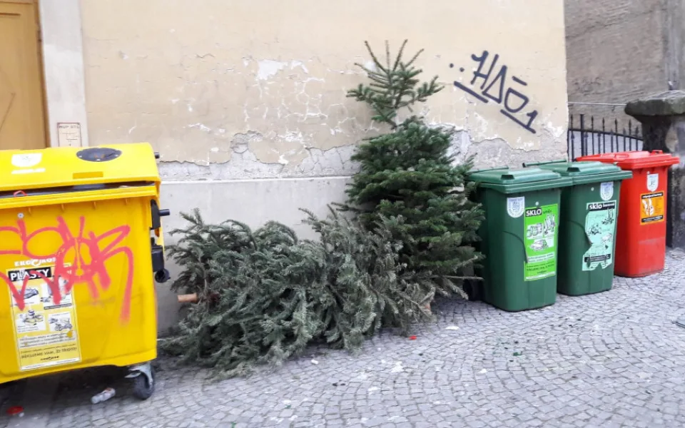 Co s vánočním stromkem? V pondělí začíná jejich svoz