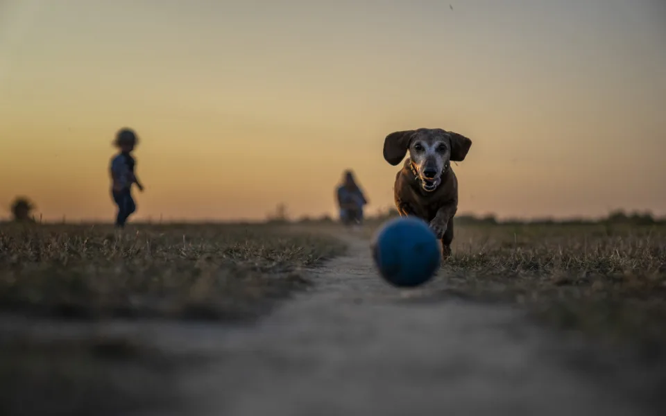 Ilustrační foto.