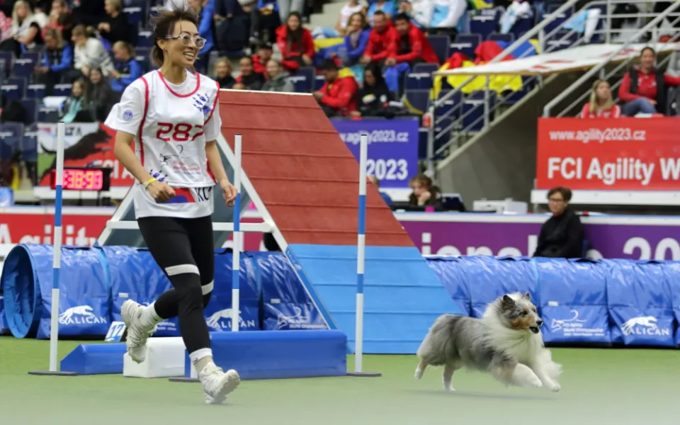 Momentka z MS v agility Liberec 2023.