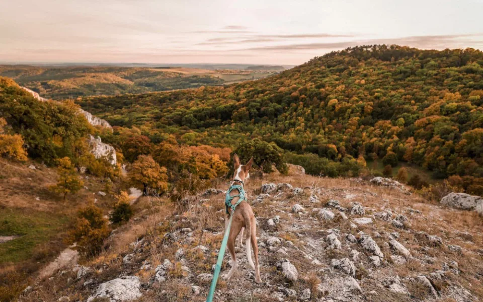 Ilustrační foto.