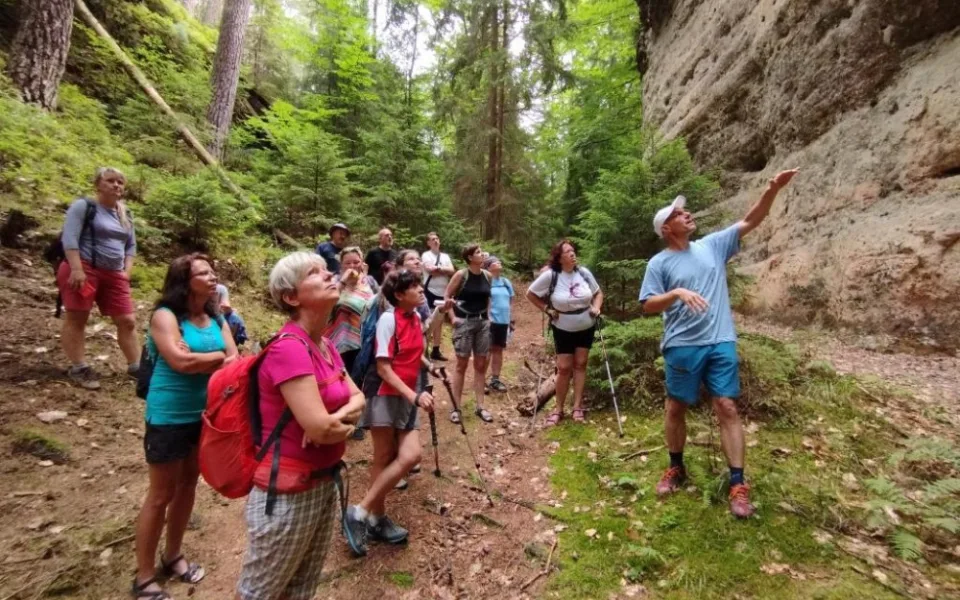 Komentované prohlídky s průvodcem patří do jedné z nabídek Geoparku Ralsko.