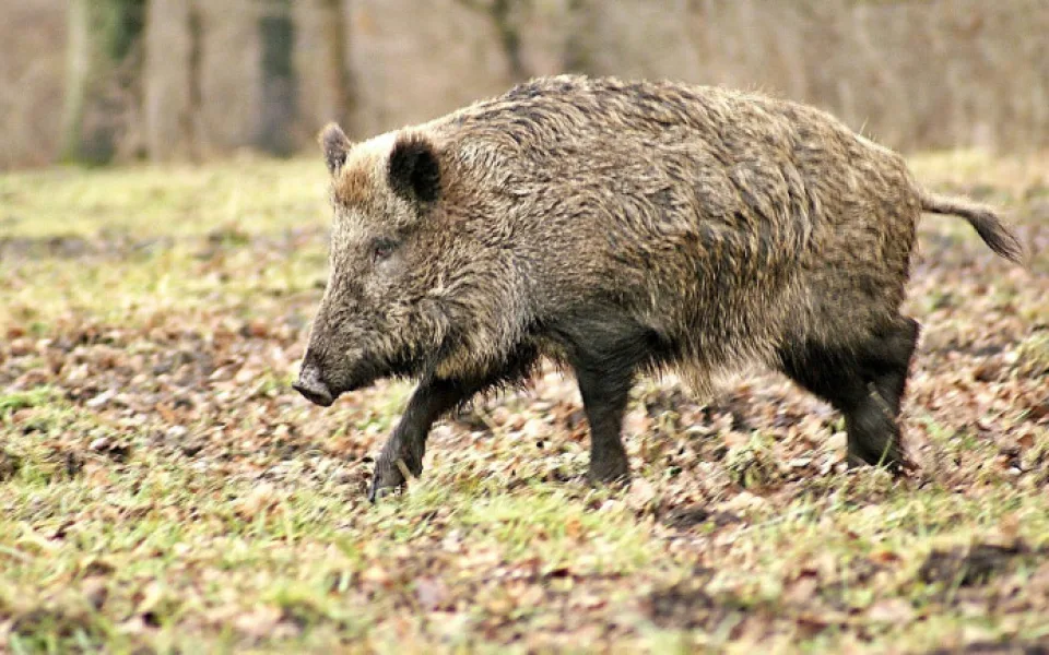 Ilustrační foto.