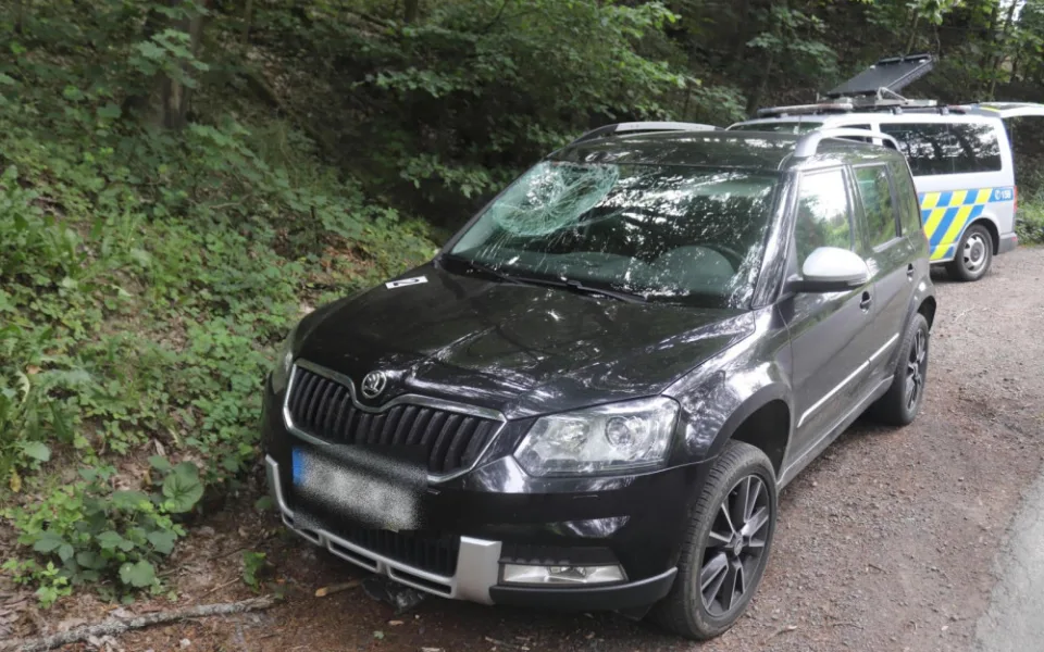 Auto po střetu s jelenem.