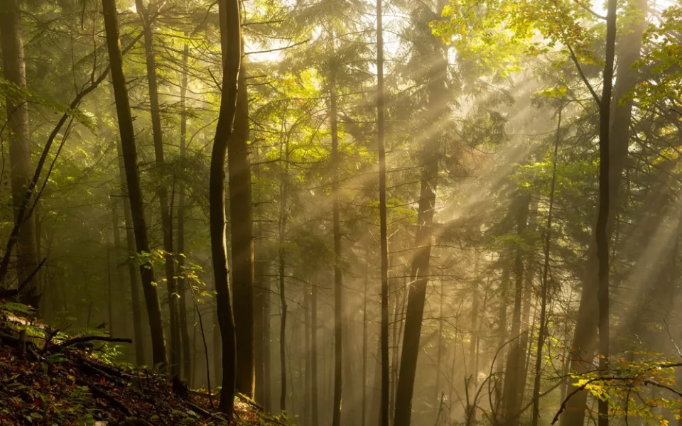 Sobota připomene léto, poté se ochladí a vrátí se déšť
