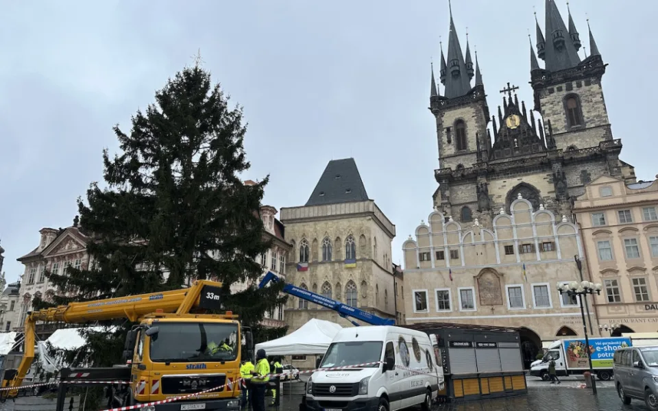 Praha hledá vánoční strom na Staromák. Za nejlepší tip nabízí deset tisíc