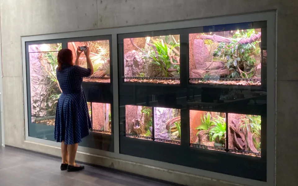Liberecká zoo otevřela novou expozici tropických ještěrů, většinou jde o ohrožené druhy