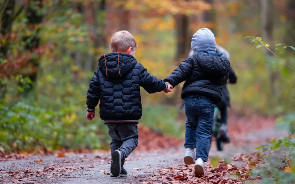 V Proseči nad Nisou vznikne lesní mateřská školka