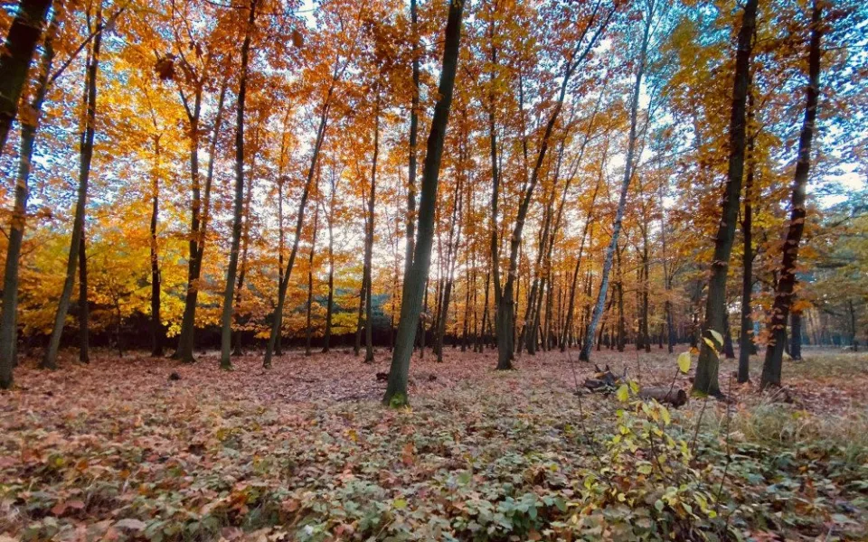 Ilustrační foto