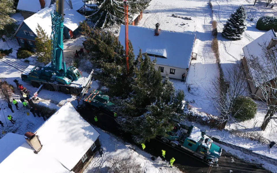 Vánoční strom pro Prahu už se veze. Na Staromáku bude stát od úterního rána