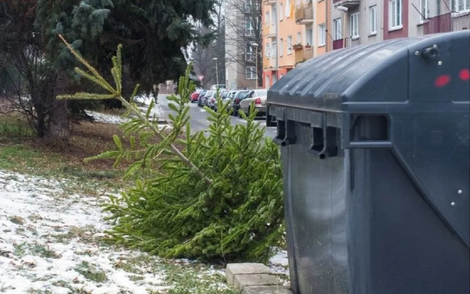 Svoz vánočních stromků začne v Liberci a Jablonci nad Nisou v pondělí