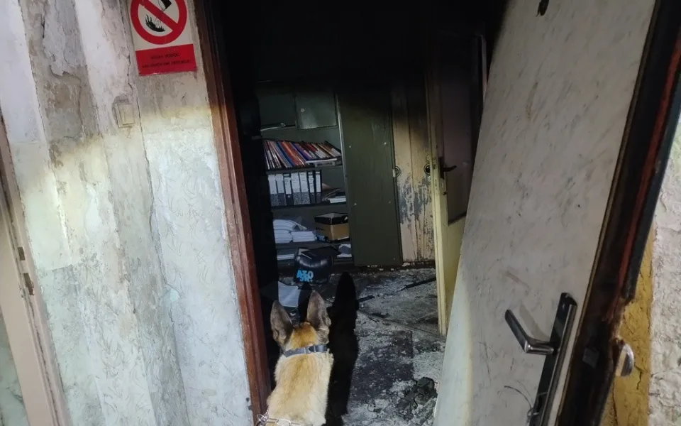 Zloděje železa odhalil služební pes. Muž odřezal několik radiátorů, skrýval se