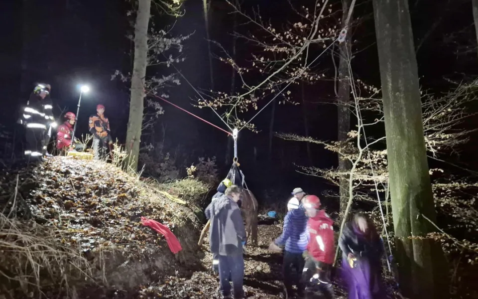 Noční zásah hasičů: s pomocí speciální záchranné sítě vytahovali v Českém ráji kobylu z 50 metrů hluboké rokle