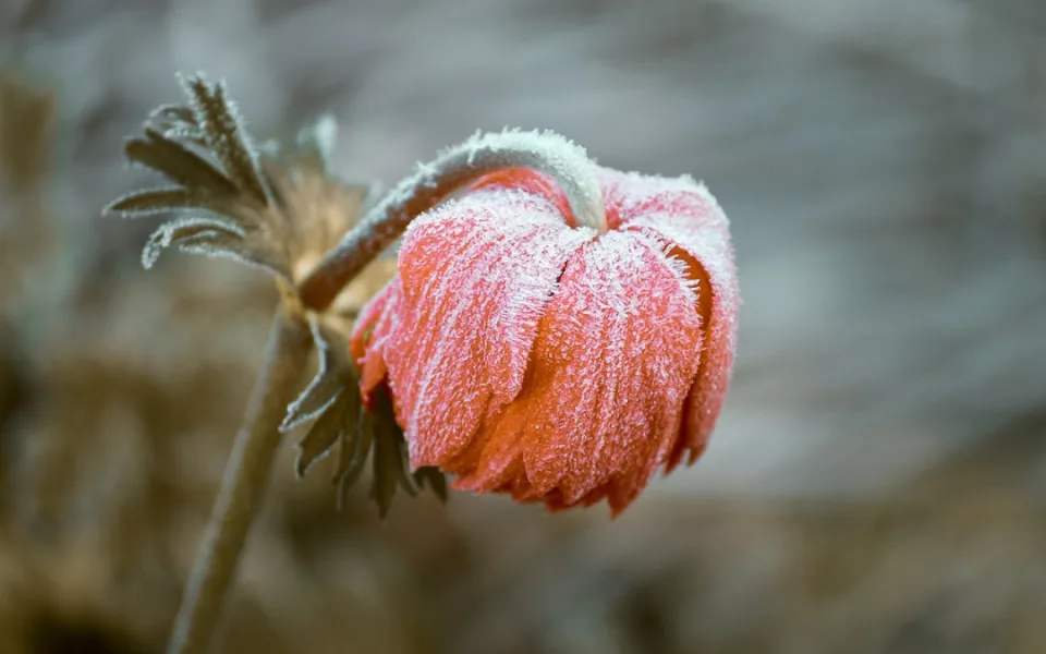 Předpověď počasí pro Královéhradecký kraj: Co nás čeká o víkendu a v příštím týdnu?