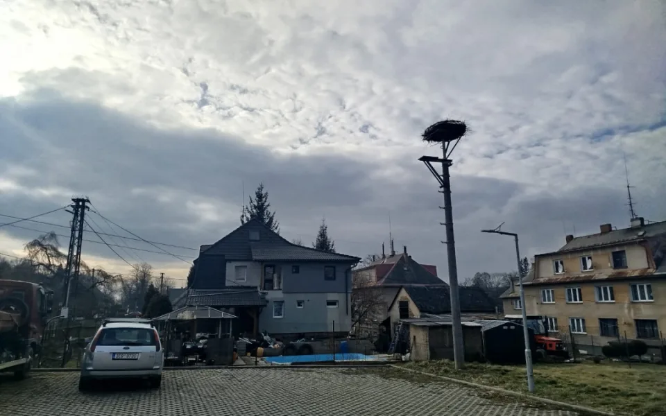 Vpravo nové hnízdo, vlevo sloup, kde bývalo hnízdo staré