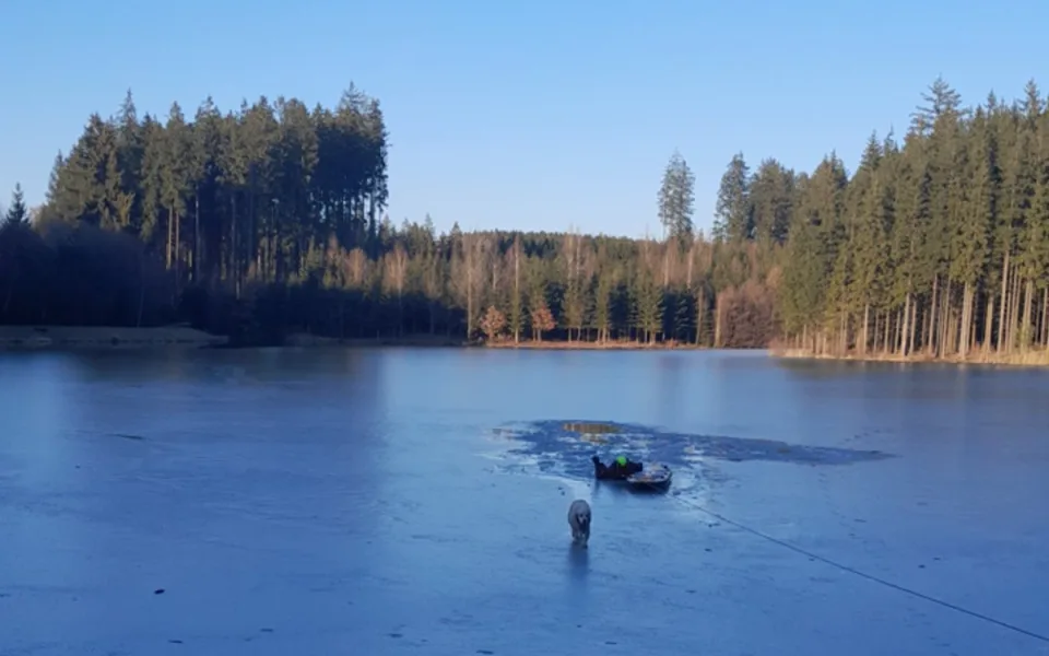 Jedenáctiletá fenka uvízla v Horní Branné v díře v ledu na rozmrzajícím rybníce. Na břeh ji hasiči dostali pomocí paddleboardu