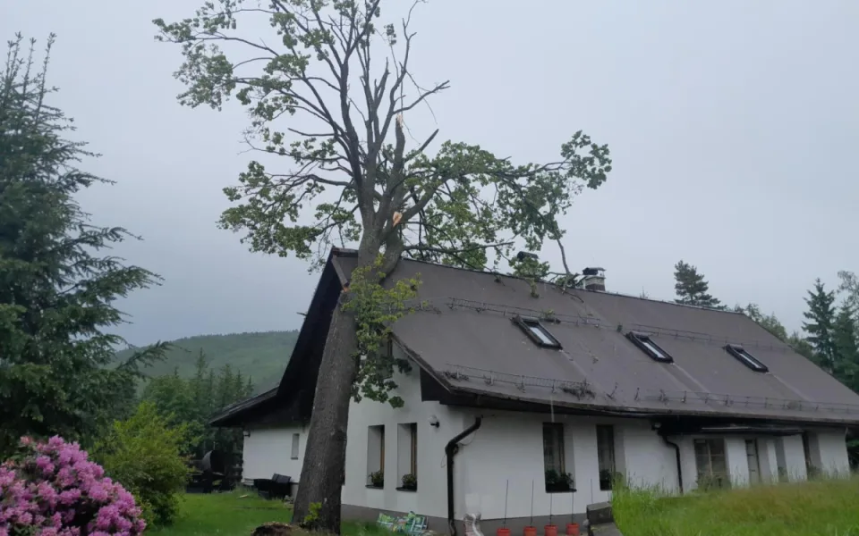 Vzrostlý strom spadl na štít domu v Liberci Kunraticích. Pomohli hasiči