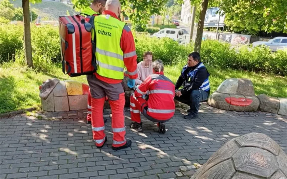 Asistenti prevence kriminality pomohli na Fügnerce dívce v nesnázích