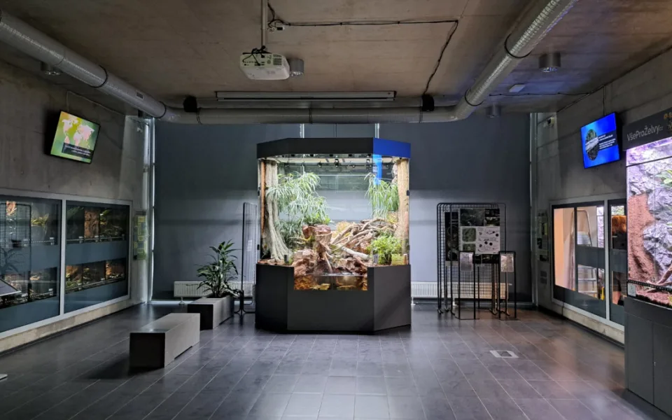 Liberecká zoo chystá novou expozici vzácného a kriticky ohroženého krokodýlovce čínského