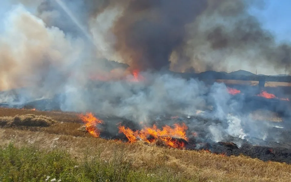 Rozsáhlý požár v Novinách pod Ralskem. Hořelo osm hektarů pole